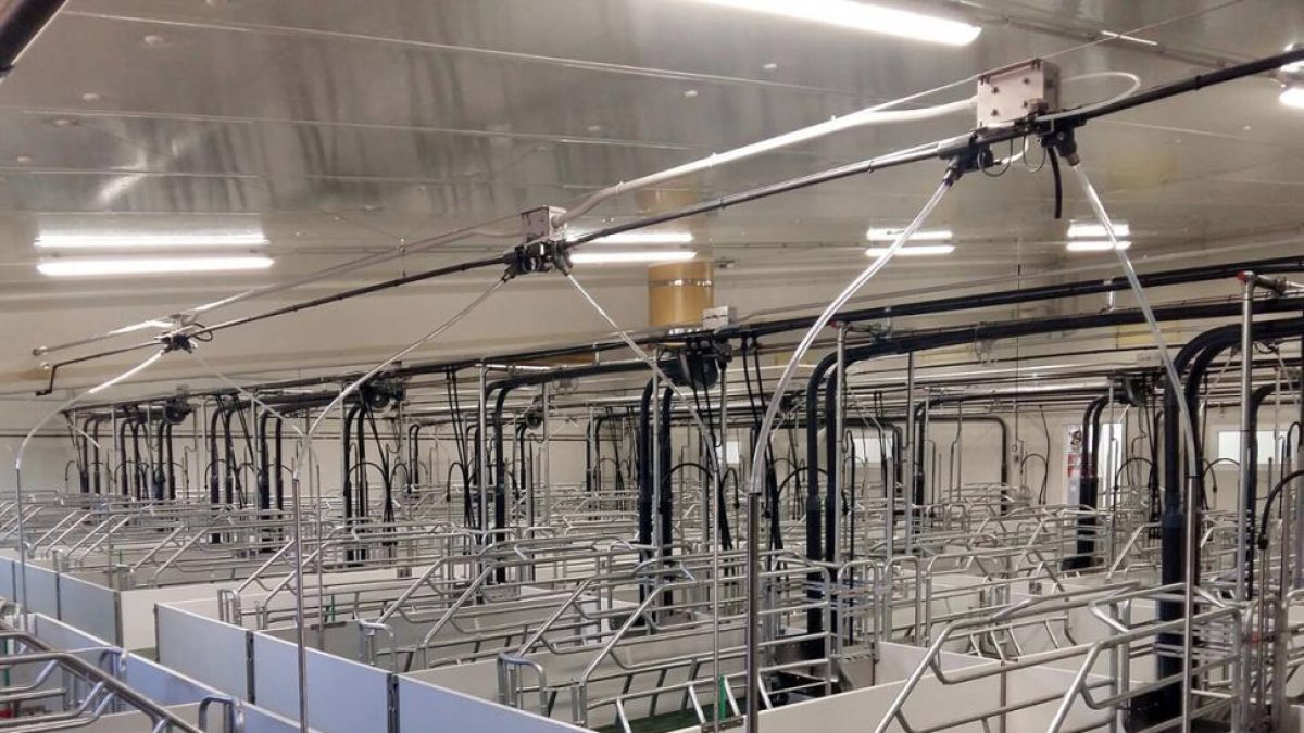 Instalaciones de la nueva granja de El Cubo de la Solana.-CEDIDA