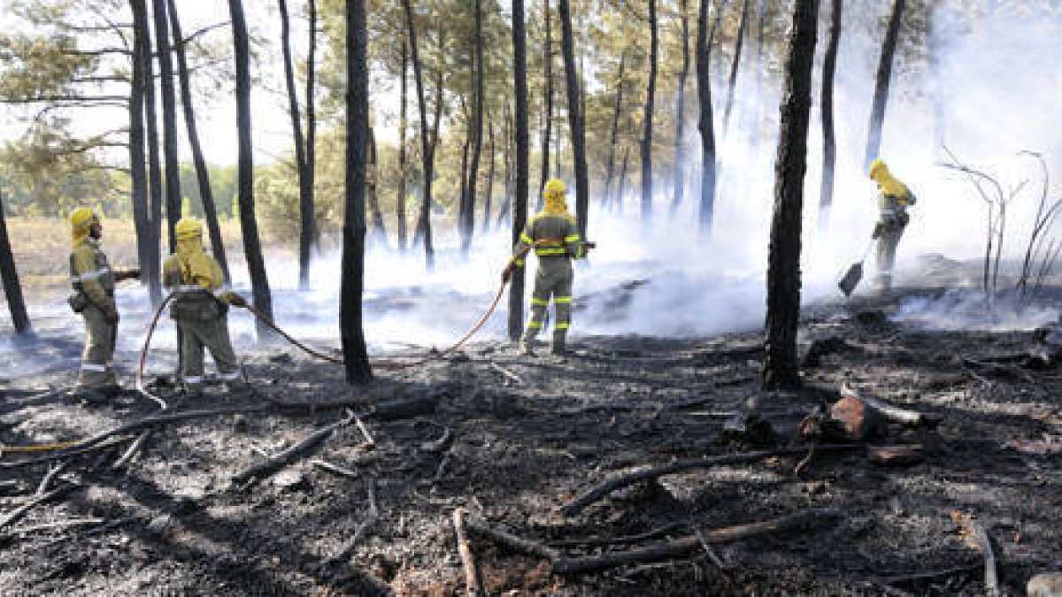 Trabajos de extinción en un fuego ocurrido este mes en Garray. / VALENTÍN GUISANDE-