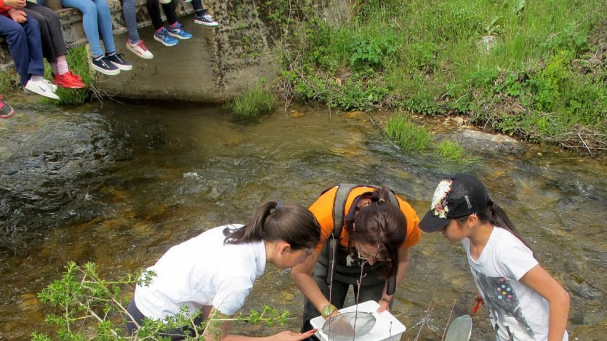Curso del programa EducaDuero, dirigido a favorecer la sensibilización medioambiental desde la perspectiva del agua y organizado por la Confederación Hidrográfica del Duero (CHD)-ICAL