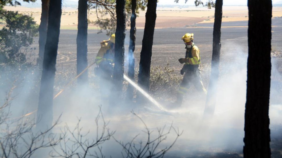 Las brigadas sofocan el incendio de Noviercas, uno de los más graves.-A. M.