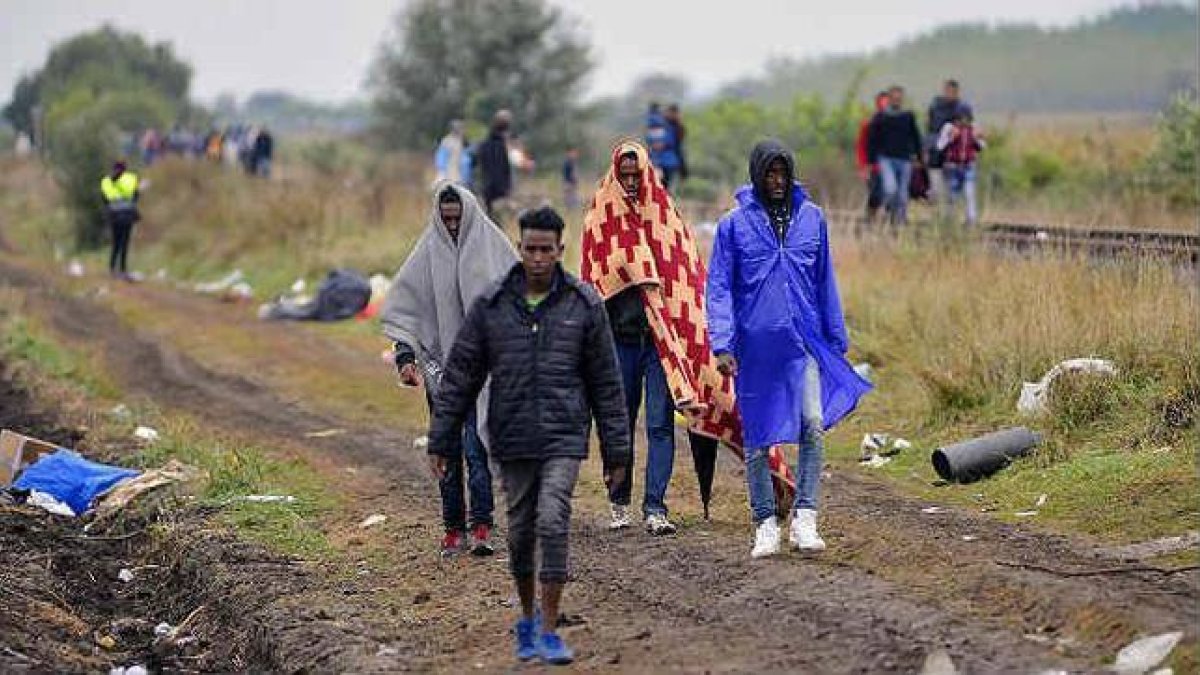 Varios refugiados entran en Hungría por el paso de Röszke, el viernes.-Foto:  EFE / EDVAR MOLNAR