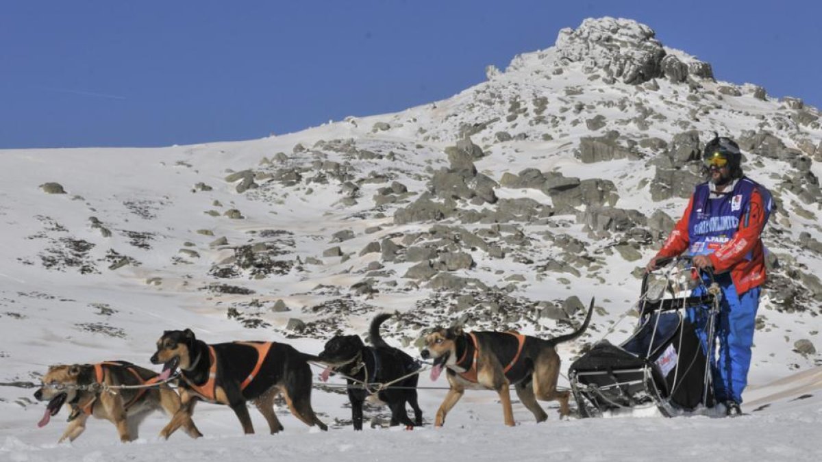 Un musher durante una etapa de la Soria Unlimited de este año.-VALENTÍN GUISANDE