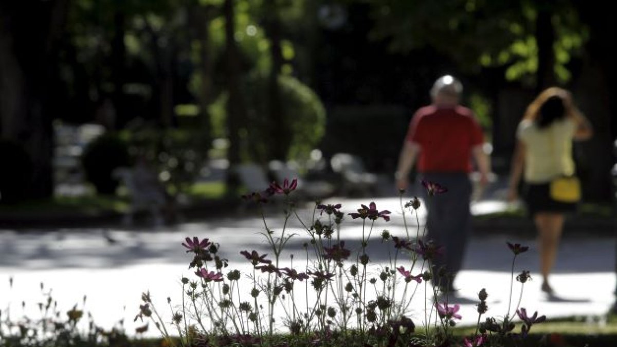 El polen de las gramíneas comienza a extenderse ahora y las mascarillas ayudarán a combatirlo. L.Á. TEJEDOR