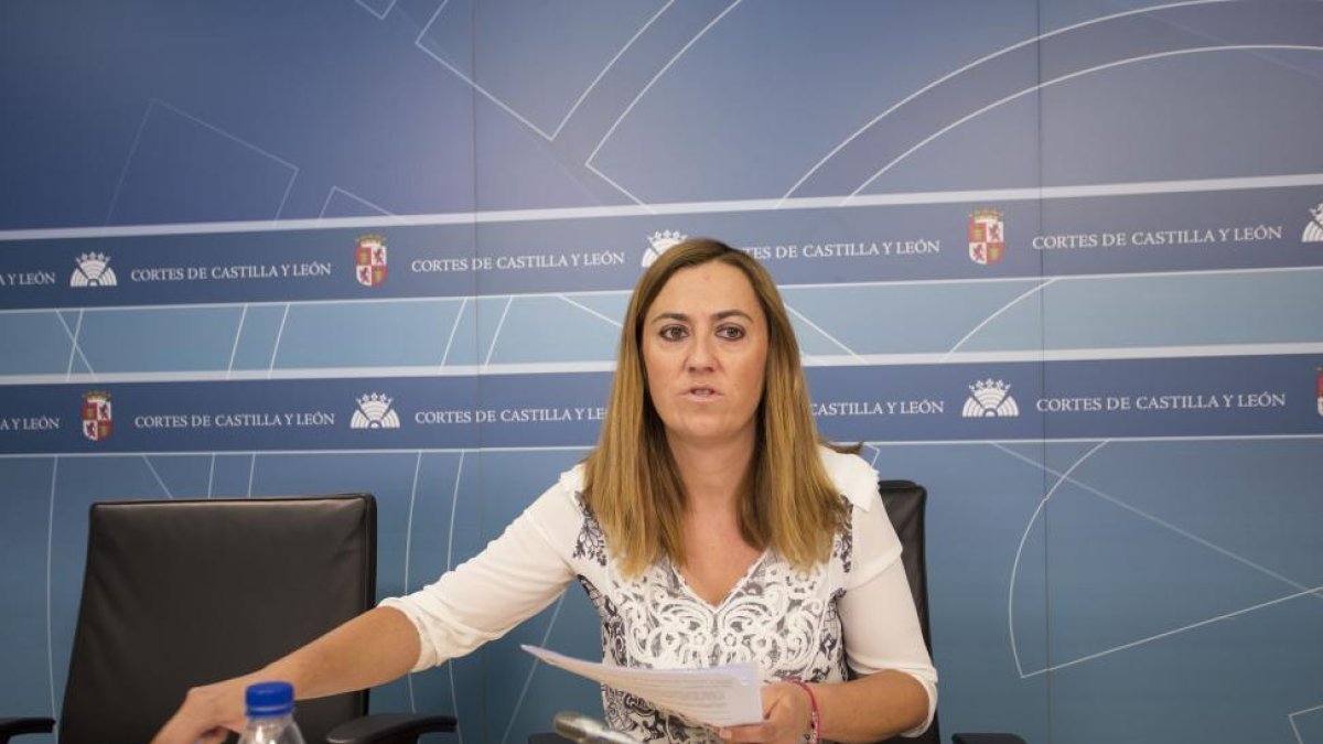 La viceportavoz del grupo Socialista en las Cortes, Virginia Barcones, presenta las enmiendas de su formación al proyecto de Ley del Estatuto del Alto Cargo de Castilla y León-ICAL
