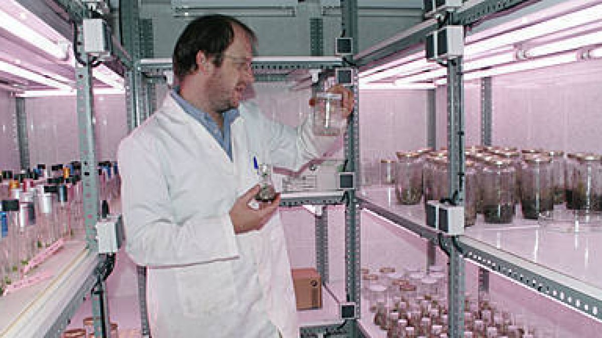 El Centro de Investigación Forestal de Valonsadero tiene una proyección reconocida internacionalmente. / VALENTÍN GUISANDE-