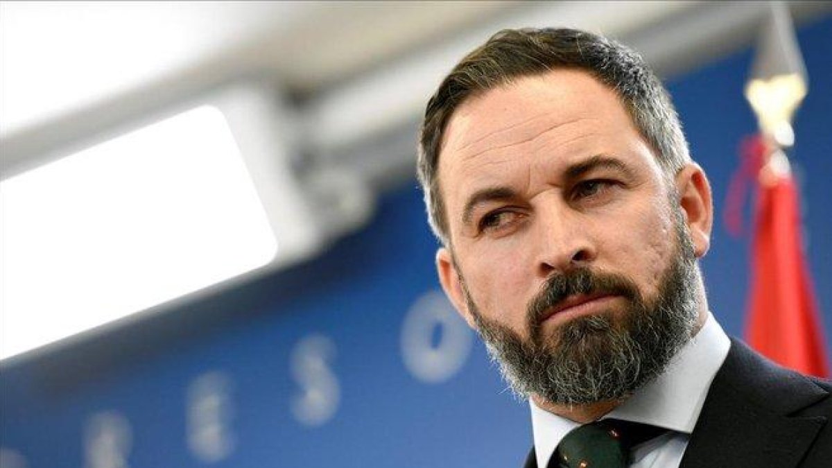 El presidente de Vox, Santiago Abascal, en rueda de prensa en el Congreso.-EFE / VICTOR LERENA