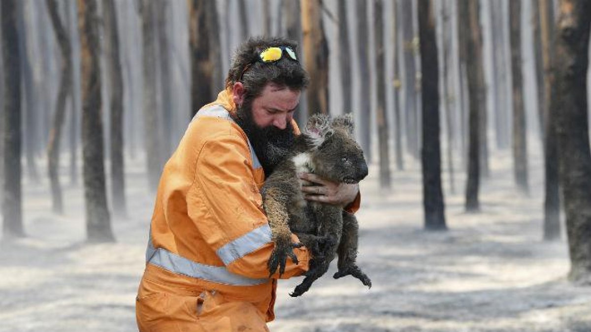 El fuego arrasa el continente australiano.-