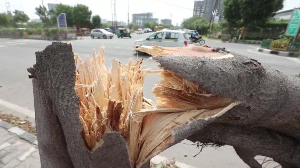 Al menos 42 personas murieron y otras 47 resultaron heridas en las últimas 24 horas debido a la lluvia y el viento en la India.-ATLAS