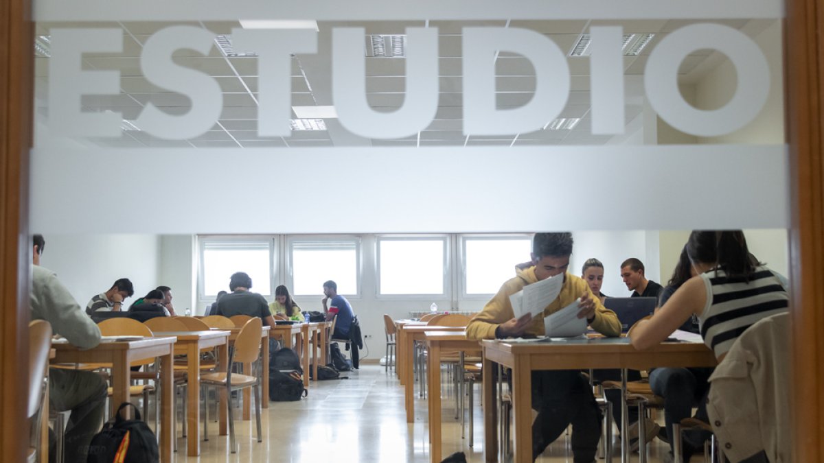 Jóvenes preparando la EBAU en la biblioteca del Campus Duques de Soria.-GONZALO MONTESEGURO