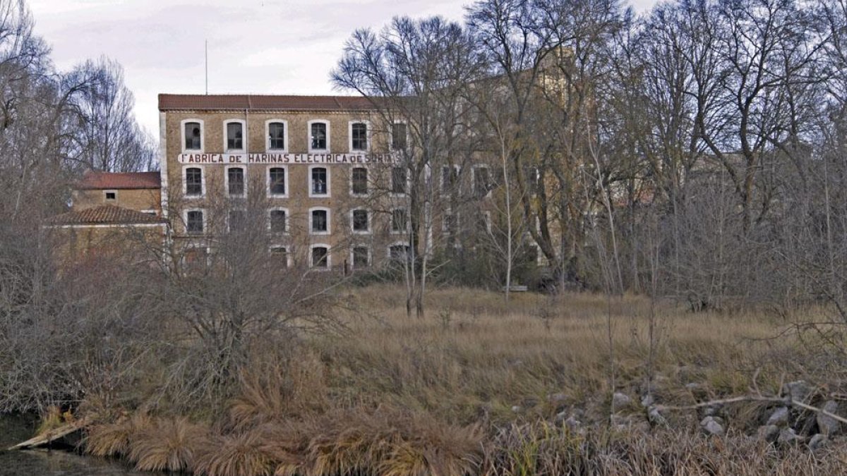 Antigua fábrica de harinas junto al Duero.-Mario Tejedor