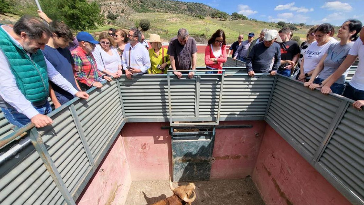 Los toros de San Juan 2022 en Soria