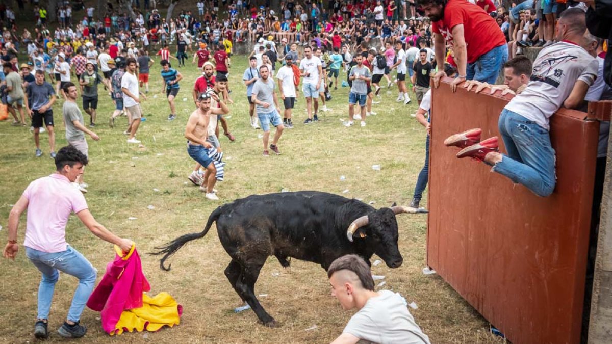 Lavalenguas de 2022. GONZALO MONTESEGURO