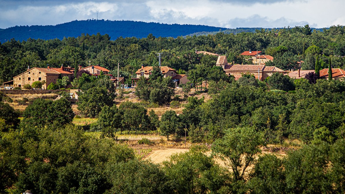 Barrio de Pedrajas - MARIO TEJEDOR