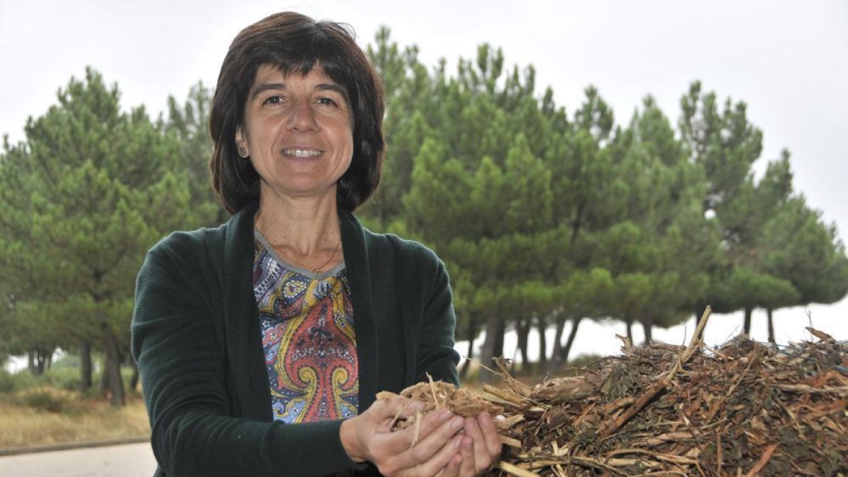 Raquel Ramos-V. GUISANDE