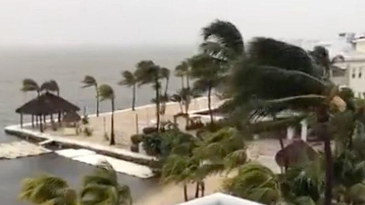 Palmeras balanceándose en Cayo Largo, Florida, como consecuencia del fuerte viento originado por el huracán Irma, en una imagen tomada del Facebook de Laura Kushner Gibson.-REUTERS