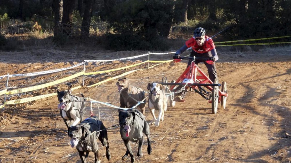 Jorge García intentará revalidar el título de campeón de España logrado el año pasado. HDS