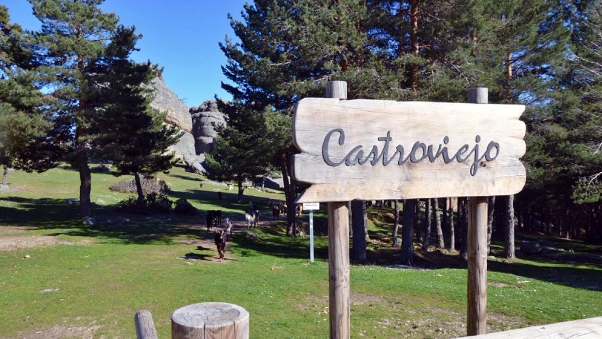 Castroviejo.-RAQUEL FERNANDEZ