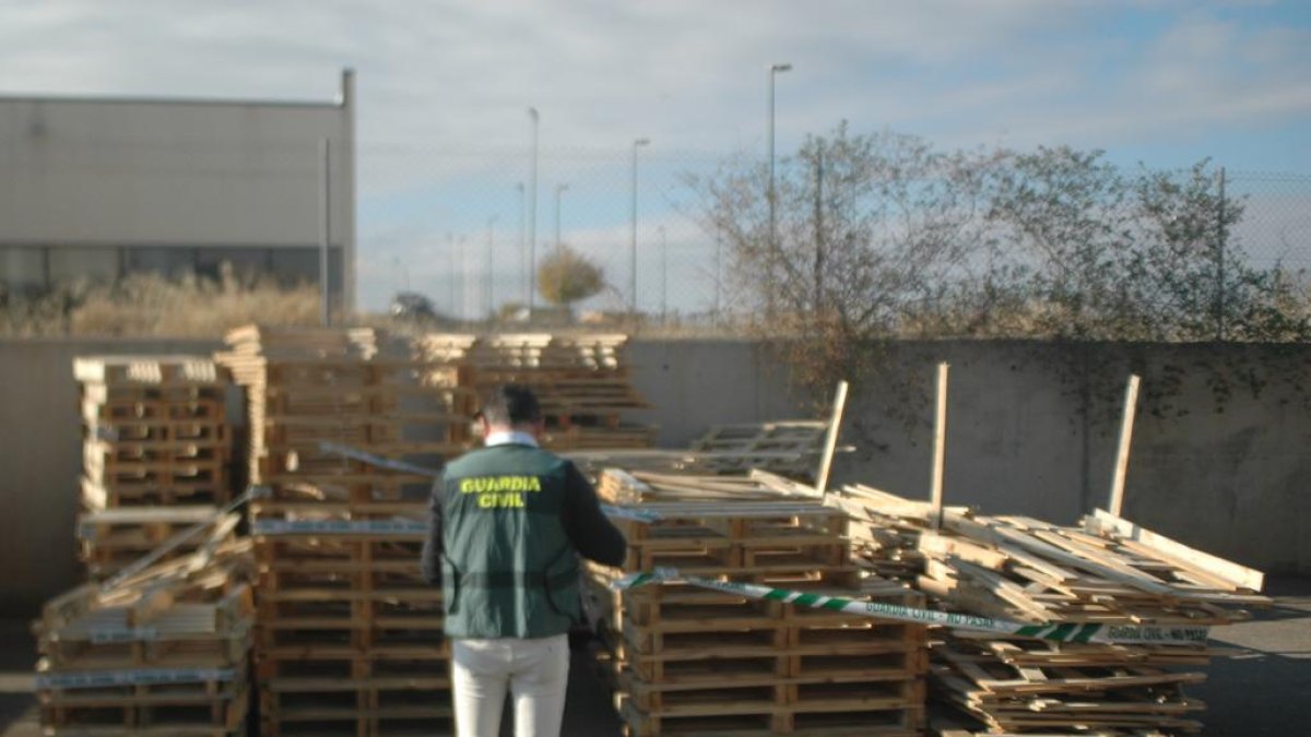 Un agente dela Guardia Civil observa algunos de los palés investigados durante la operación que afecta a una empresa de Soria. HDS