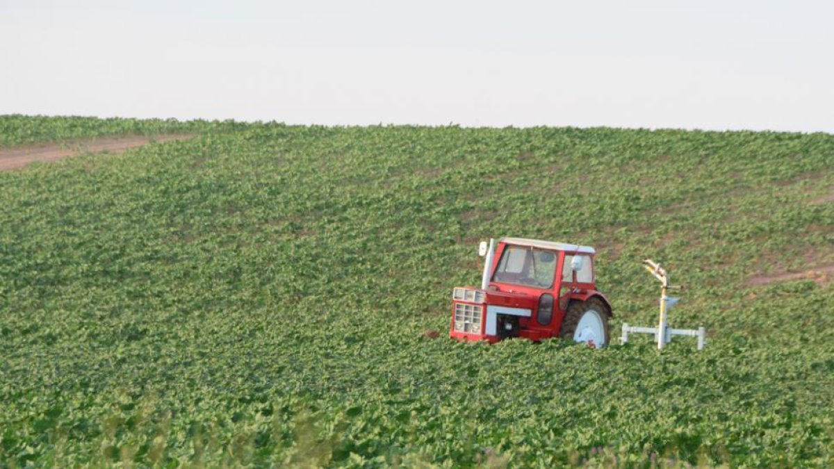 Un tractor en un campo de cultivo soriano.-ÁLVARO MARTÍNEZ