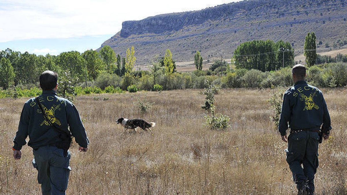 Agentes de la Guardia Civil en las tareas de búsqueda ayer. / V. G. -