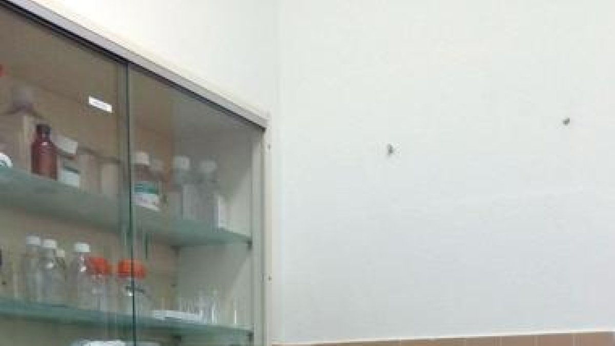 Irene Fernández en el Instituto de Biomedicina de la Universidad de León-EL MUNDO