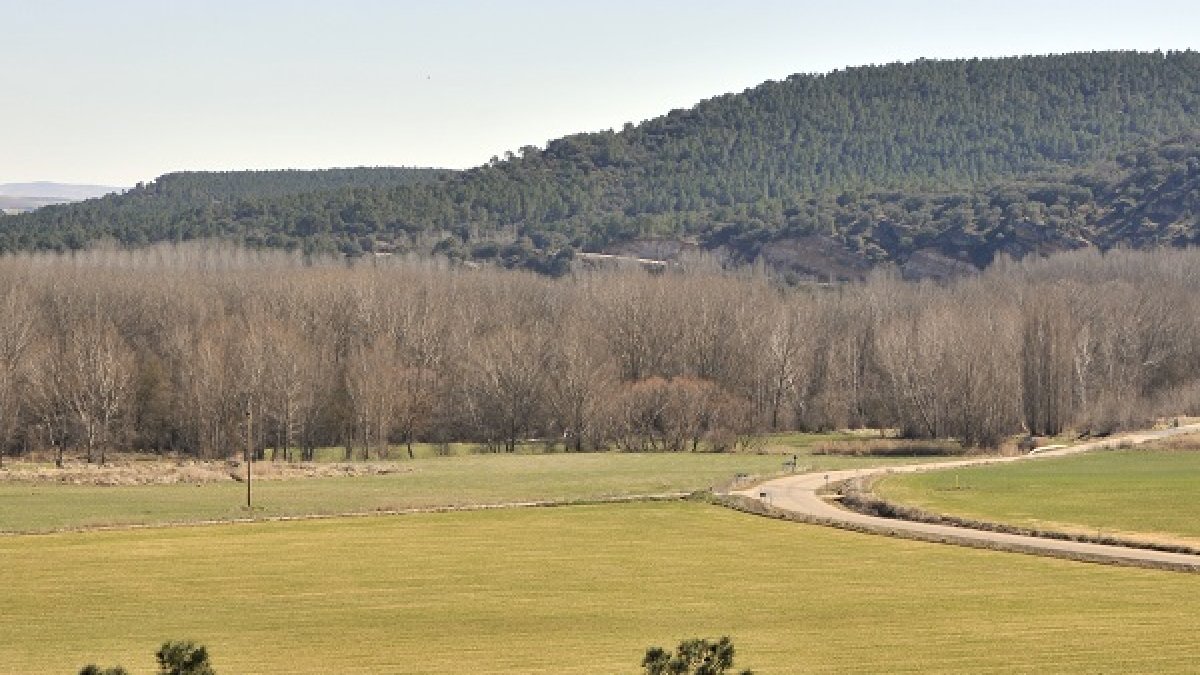Imagen Terrenos donde se ubicará la depuradora - Valentin Guisande