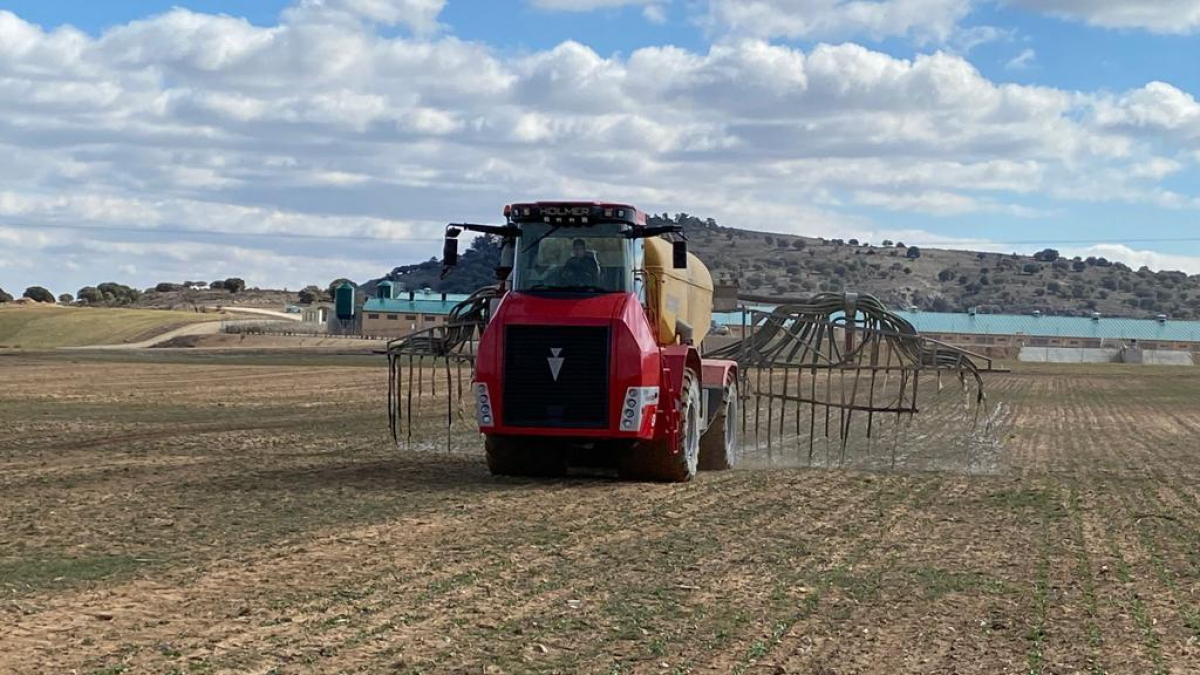 Uno de los campos de ensayo de Copiso donde está probando la fertilización orgánica