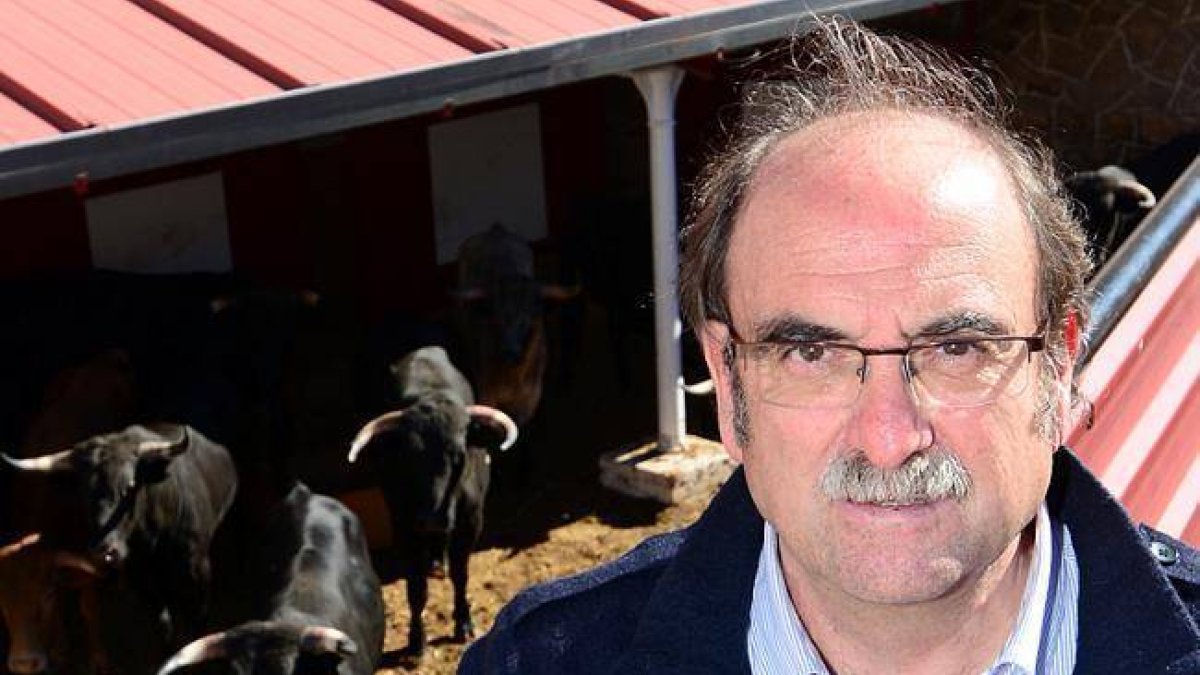 Alfredo Rodríguez, en la plaza de toros.-ÁLVARO MARTÍNEZ