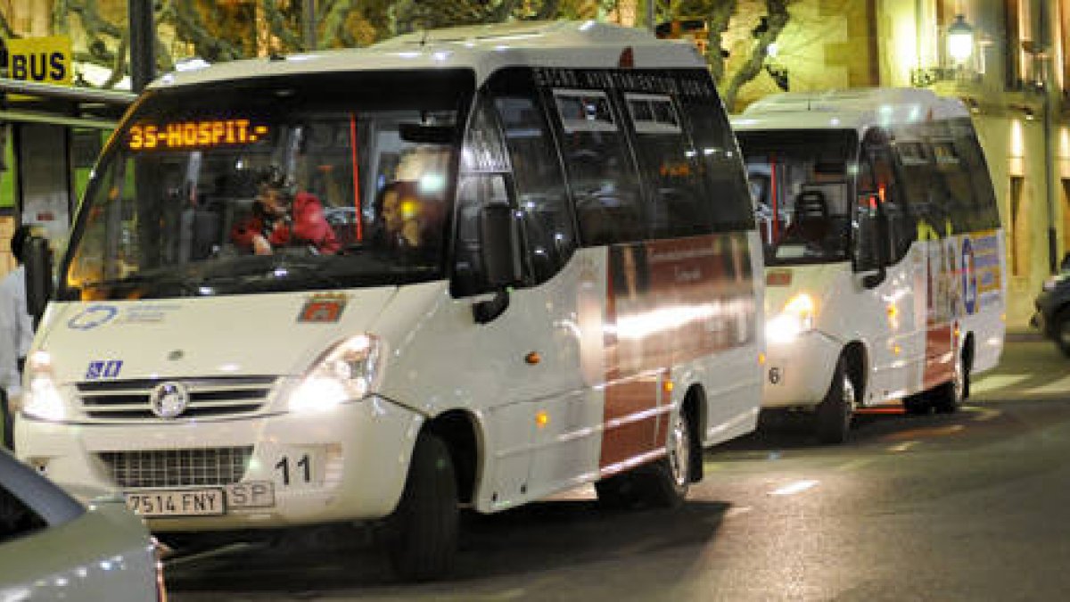 Varios autobuses del servicio urbano. / FERNANDO SANTIAGO-