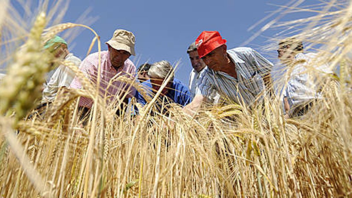 Agricultores que acudieron ayer a la demostración. / U. S. -