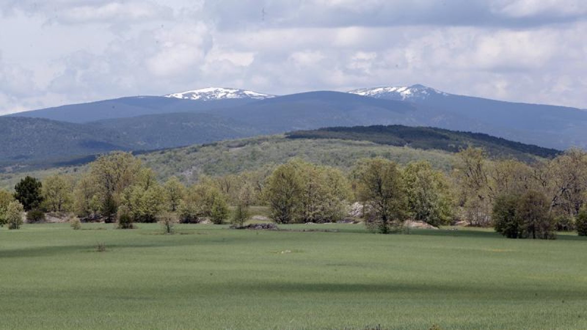 Ubicación en la que se pretende instalar la granja en el término de Cidones-M.T.