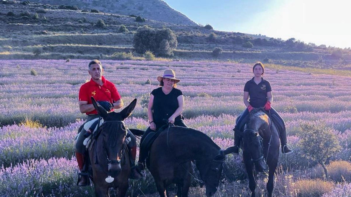 Virginia Re en el centro, junto a dos clientes en una ruta a caballo por sus campos de lavanda. HDS
