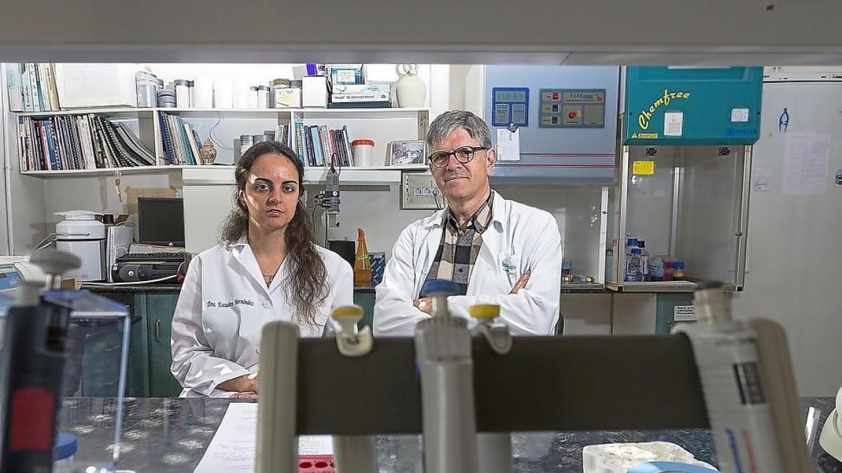 Los investigadores Celia Escudero y Eduardo Arranz en las instalaciones de la Facultad de Medicina de Valladolid-MIGUEL ÁNGEL SANTOS