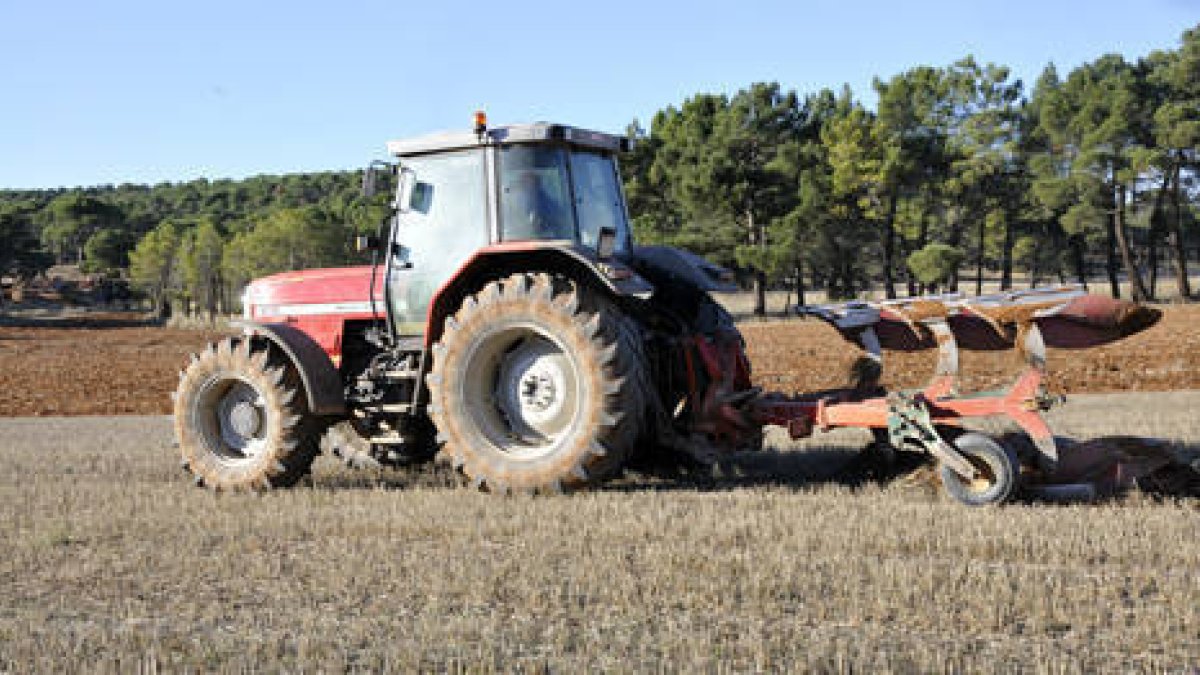 Tractor en un campo de labor de la provincia. / HDS-