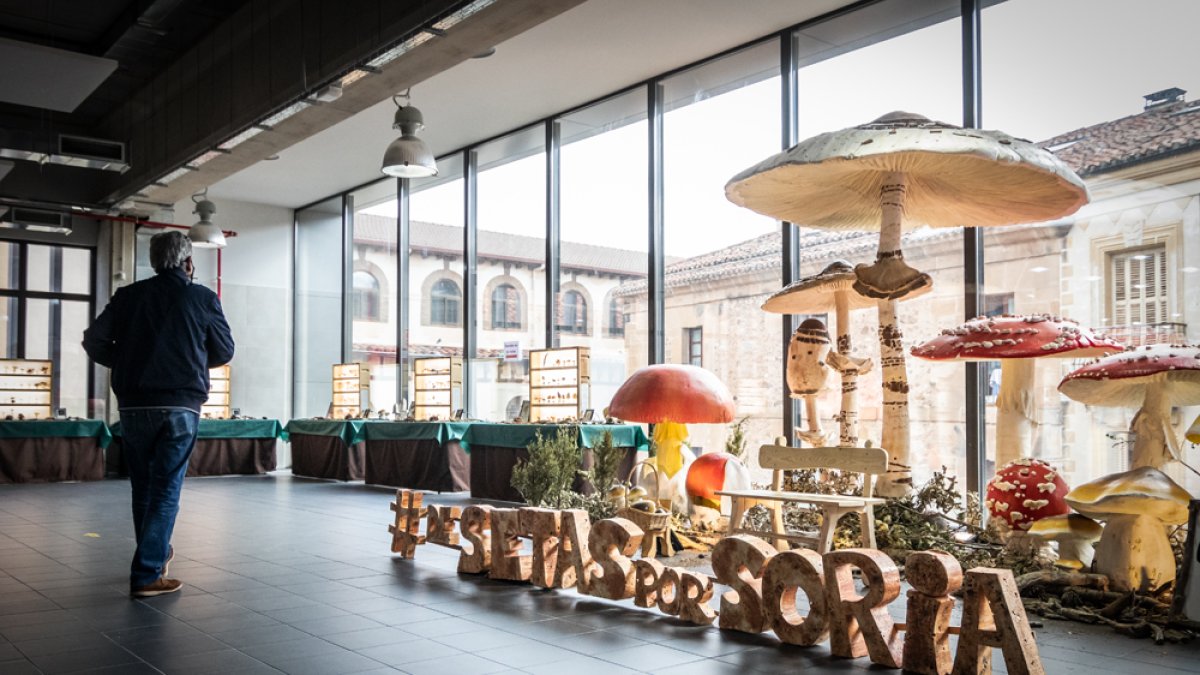 ‘Photocall’ en el mercado de abastos, correspondiente a la exposición micológica. GONZALO MONTESEGURO