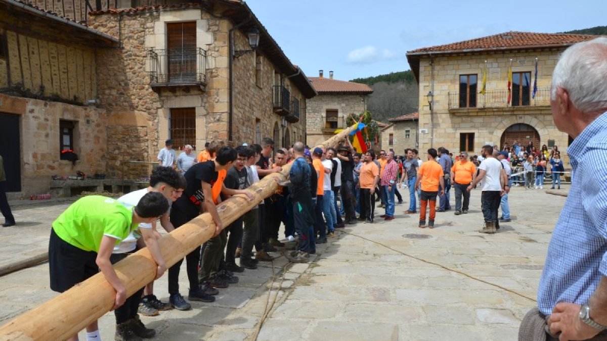 Un momento de la pingada esta mañana en la localidad soriana de Salduero.-R. FERNÁNDEZ