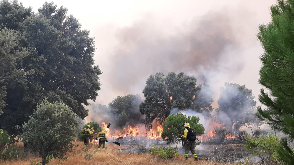 Extinción de un incendio forestal en una imagen de archivo. HDS