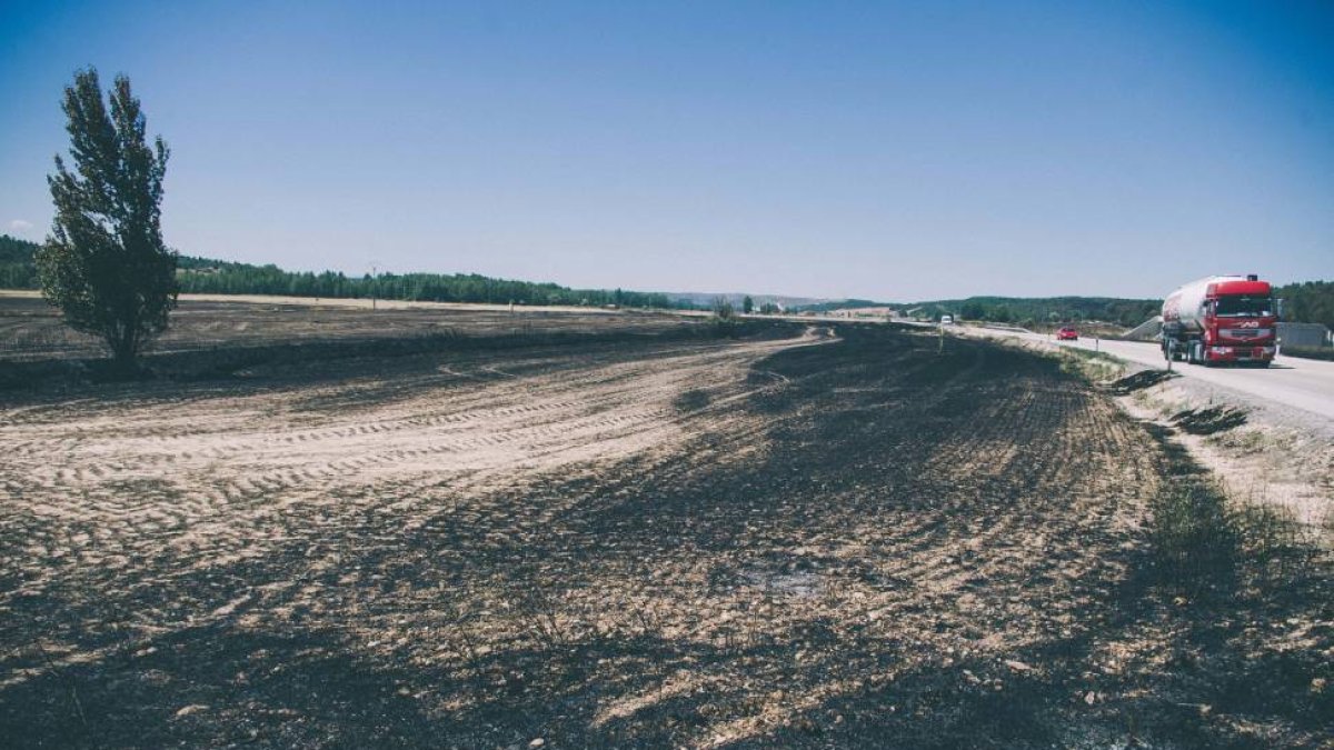 Campo quemado en el incendio declarado ayer en Barcebalejo, adyacente a las N-122-Ical