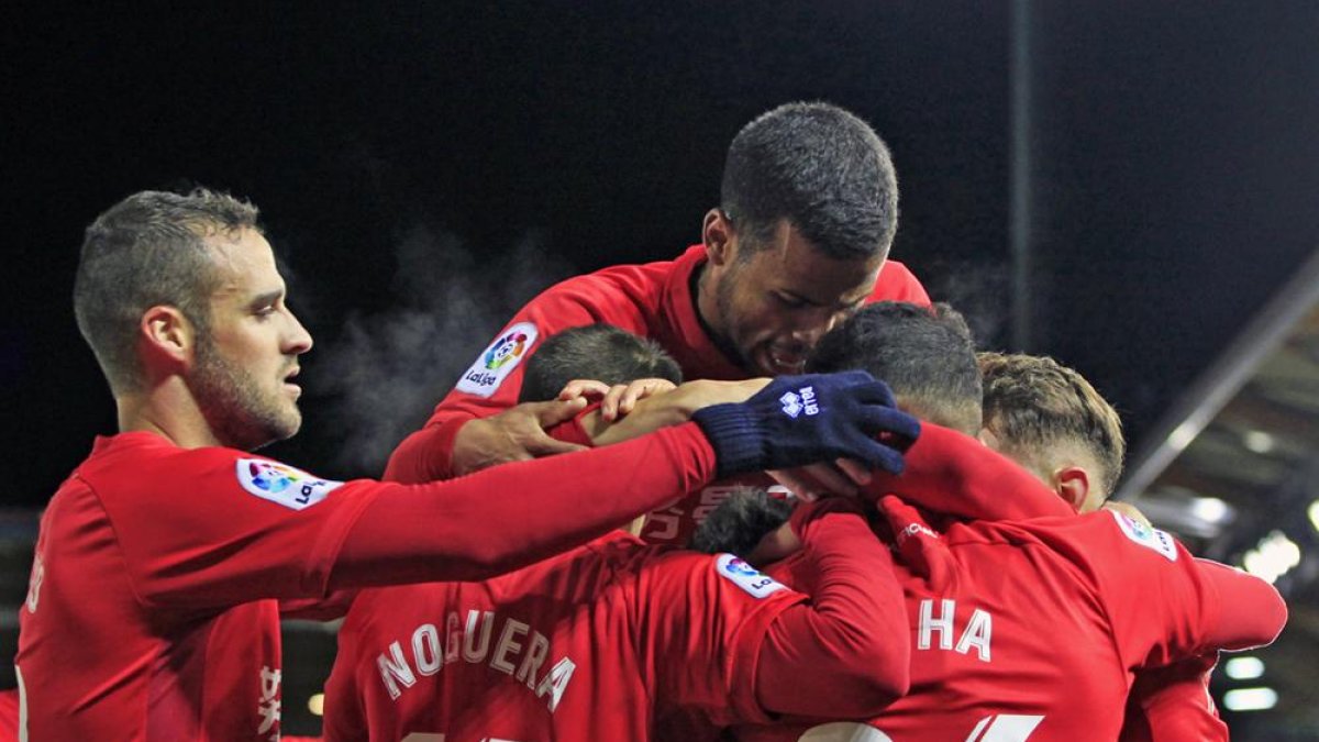 Los jugadores del CDNumancia celebran uno de los goles del pasado sábado ante el Rayo Vallecano.-MARIO TEJEDOR