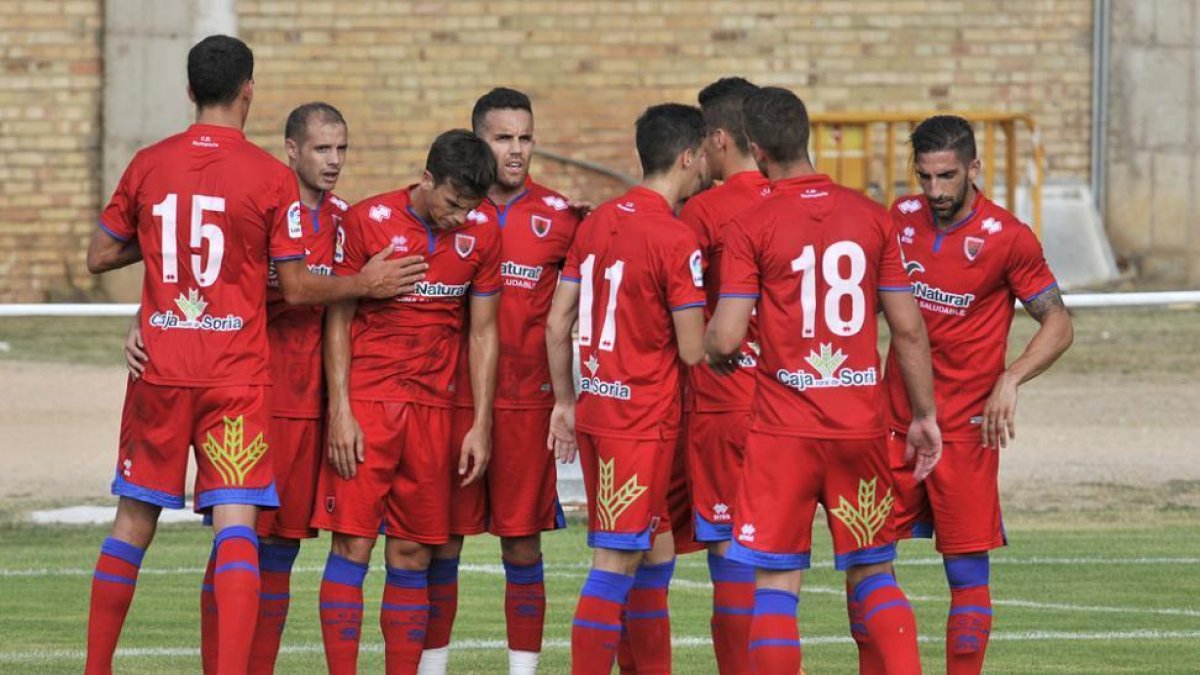 Los jugadores del Numancia celebran uno de los dos goles anotados ante Osasuna en La Arboleda.-Valentín Guisande