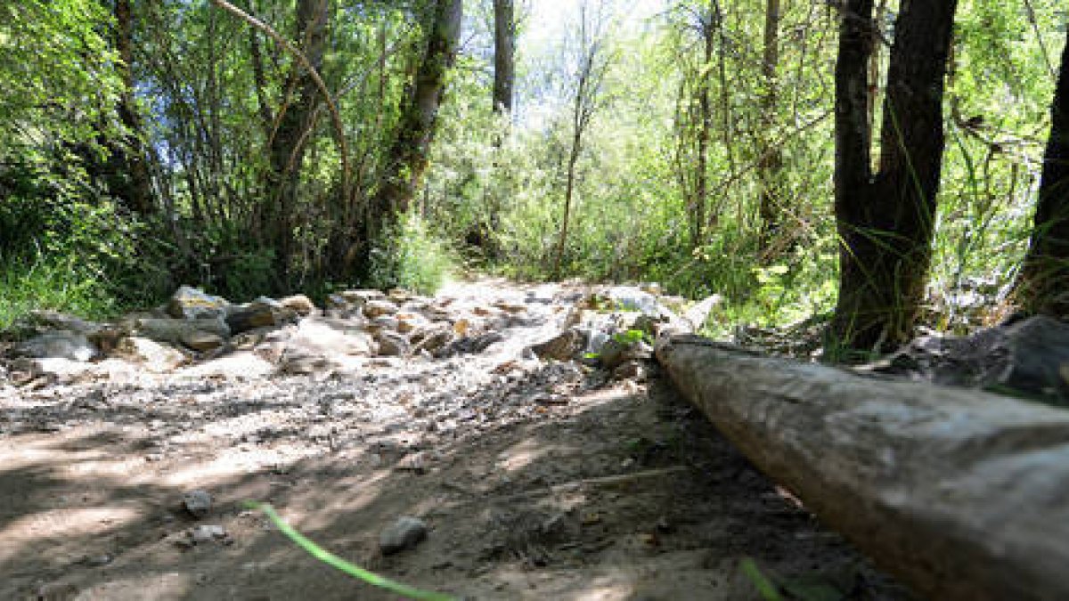 Zona deteriorada de las márgenes del río Duero, en una imagen reciente. / ÁLVARO MARTÍNEZ-