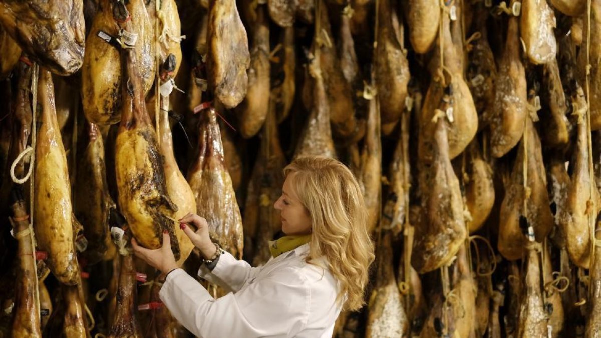 Remedios Sánchez, analiza los aromas que desprende una de sus piezas con una cala de jamón.-EL MUNDO