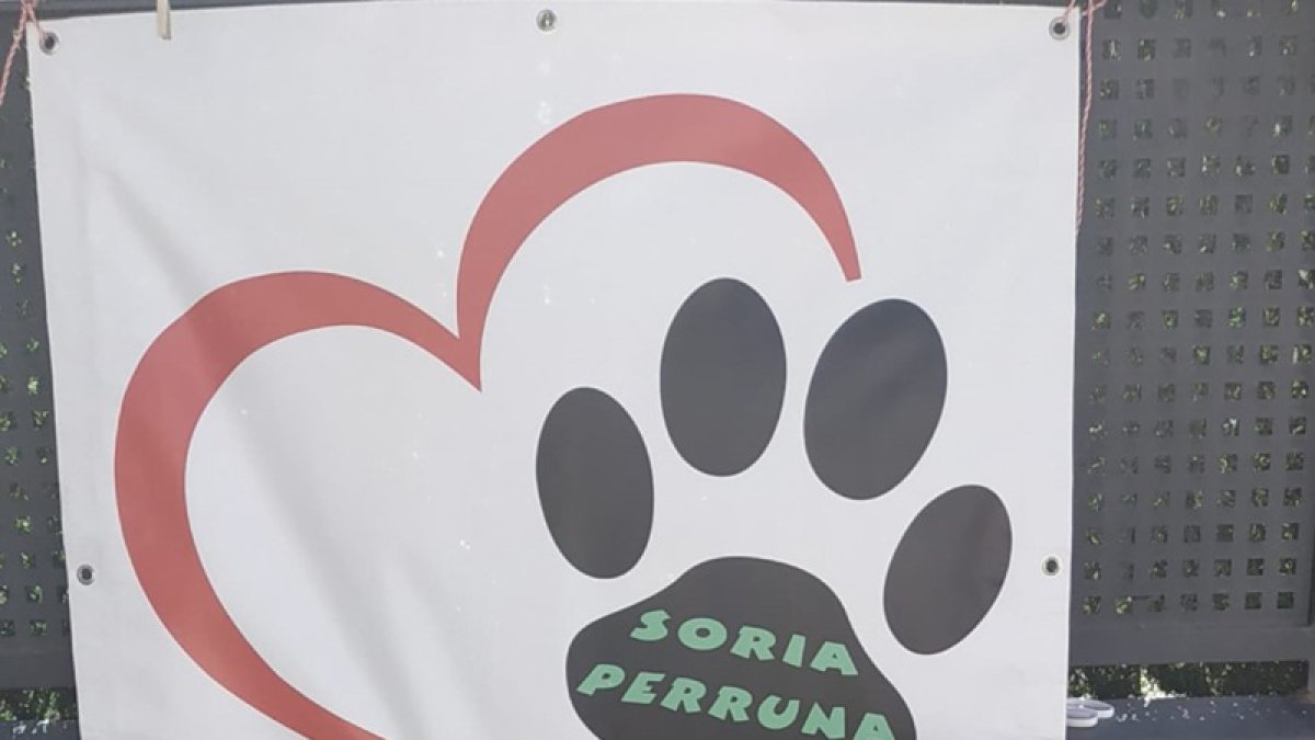 Diego Álvaro, de Soria Perruna.-HDS
