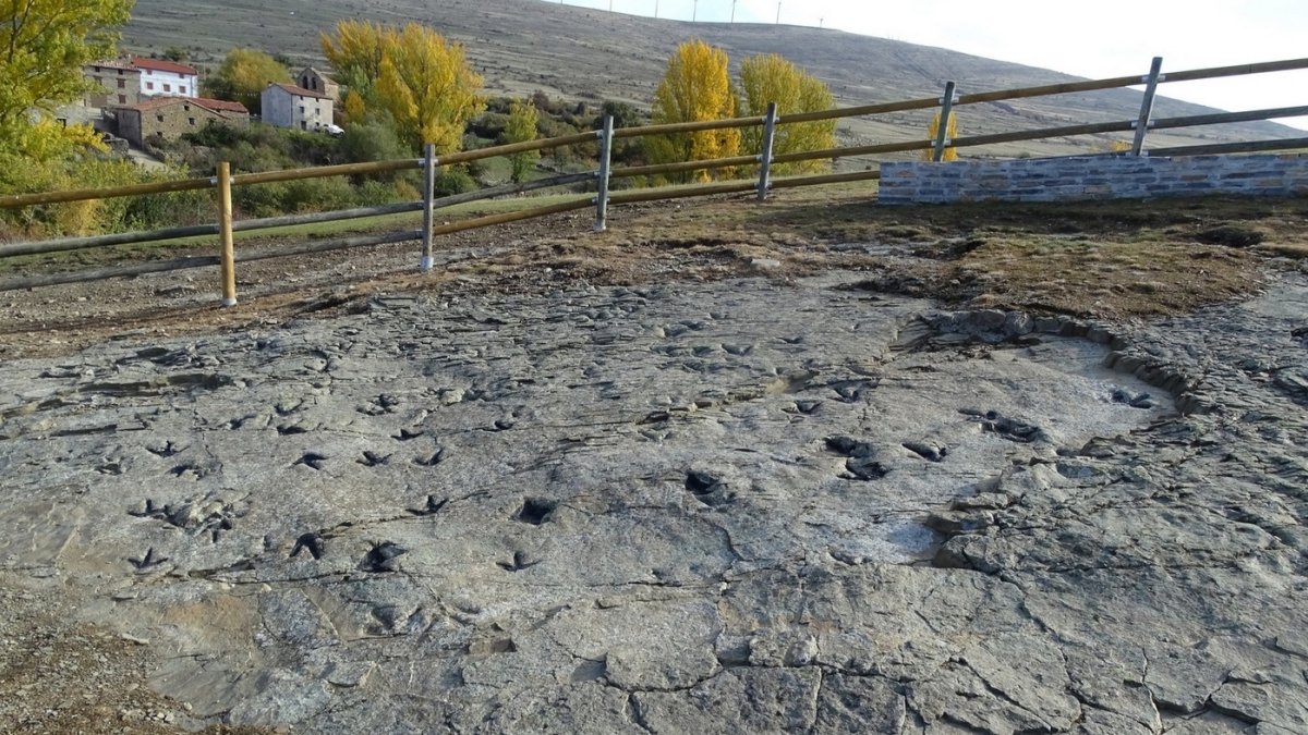 Yacimiento de icnitas en Tierras Altas.-HDS