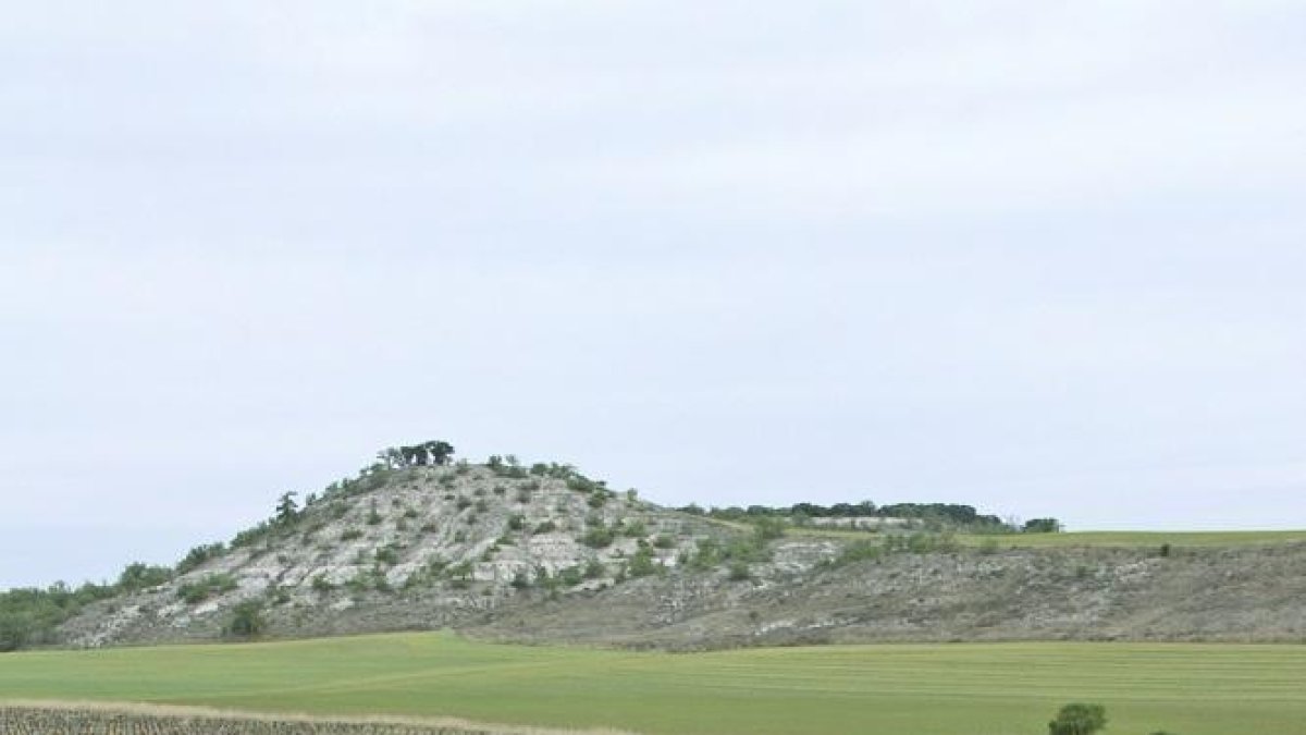 Los hermanos Carlos y Pablo González López posan con varias botellas del rosado y tinto Mucy, en el pago Camino del Monte-EL MUNDO