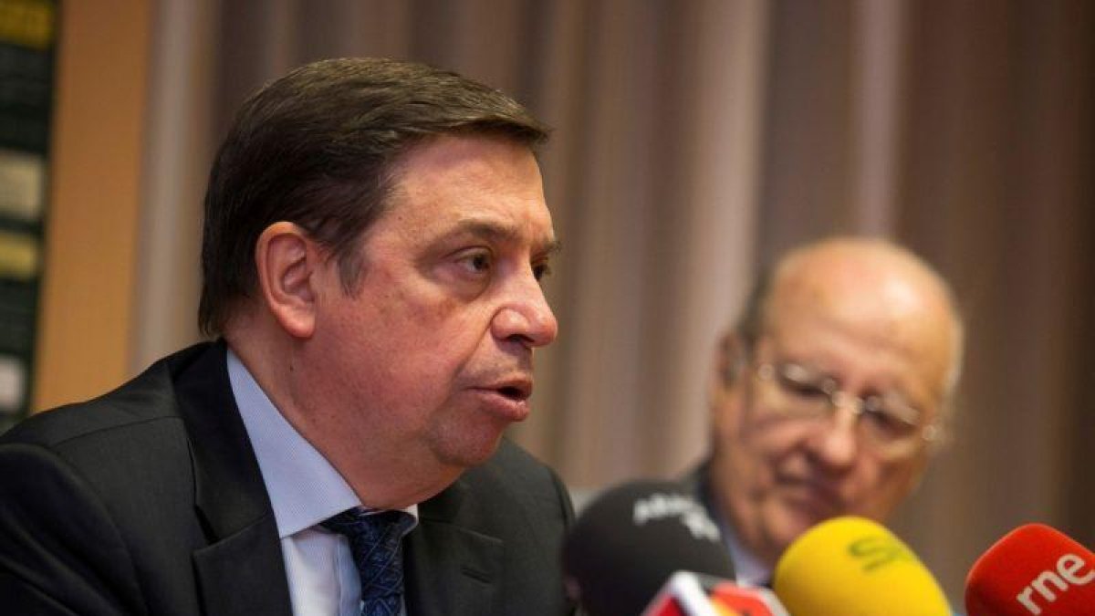 El ministro de Agricultura, Pesca y Alimentación, Luis Planas, durante una rueda de prensa.-JAVIER CEBOLLADA (EFE)