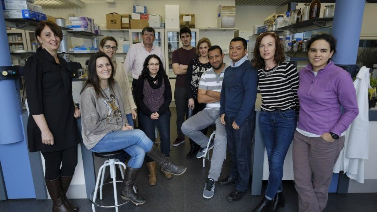 Equipo dirigido por Enrique Monte en las instalaciones del Instituto Hispano Luso de Investigaciones Agrarias (Ciale)-E. CARRASCAL