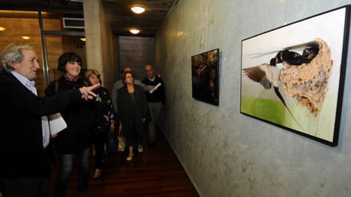 Jesús Bárez y Ana Alegre visitan la exposición de Florentino García con los miembros de las ONGs participantes en la Semana de la Pobreza. / ÚRSULA SIERRA.-