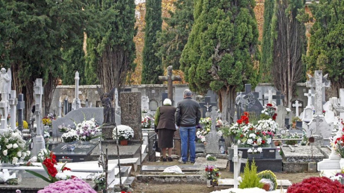 Cementerio de la capital.-Mario tejedor.