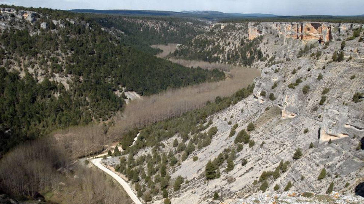 Panorámica del Cañón del Río Lobos.-VALENTÍN GUISANDE
